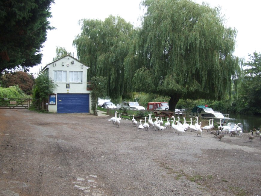 Bow bridge marina